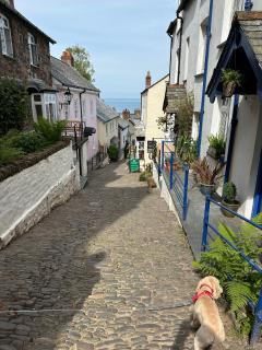 Back at Clovelly, picking up the car, we still found energy for a walk down the steep hill into the village